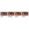 Lentes de contacto 1Day Bi-Color